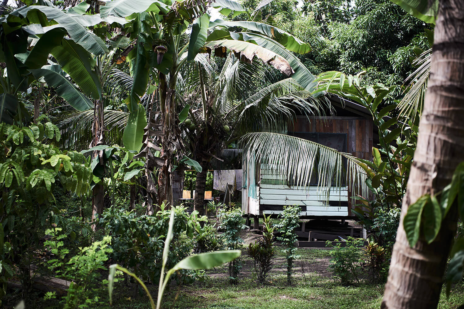 09-Shell-Money-Tauvi-1057-Kristina-Steiner