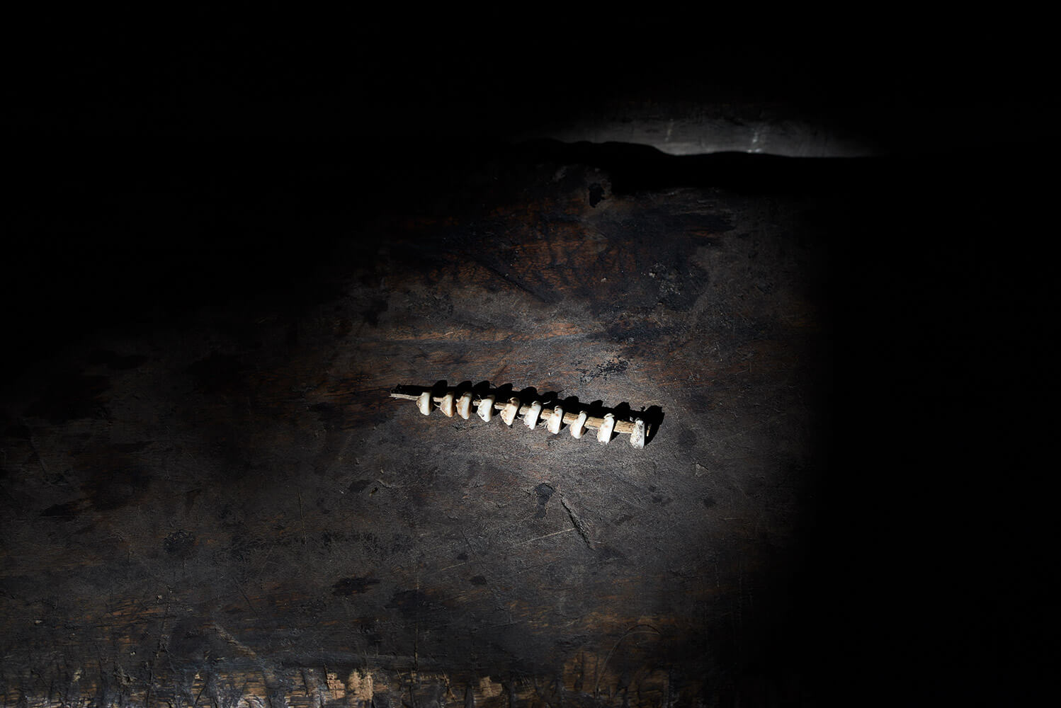 100-Shell-Money-Tavui-7683-Kristina-Steiner