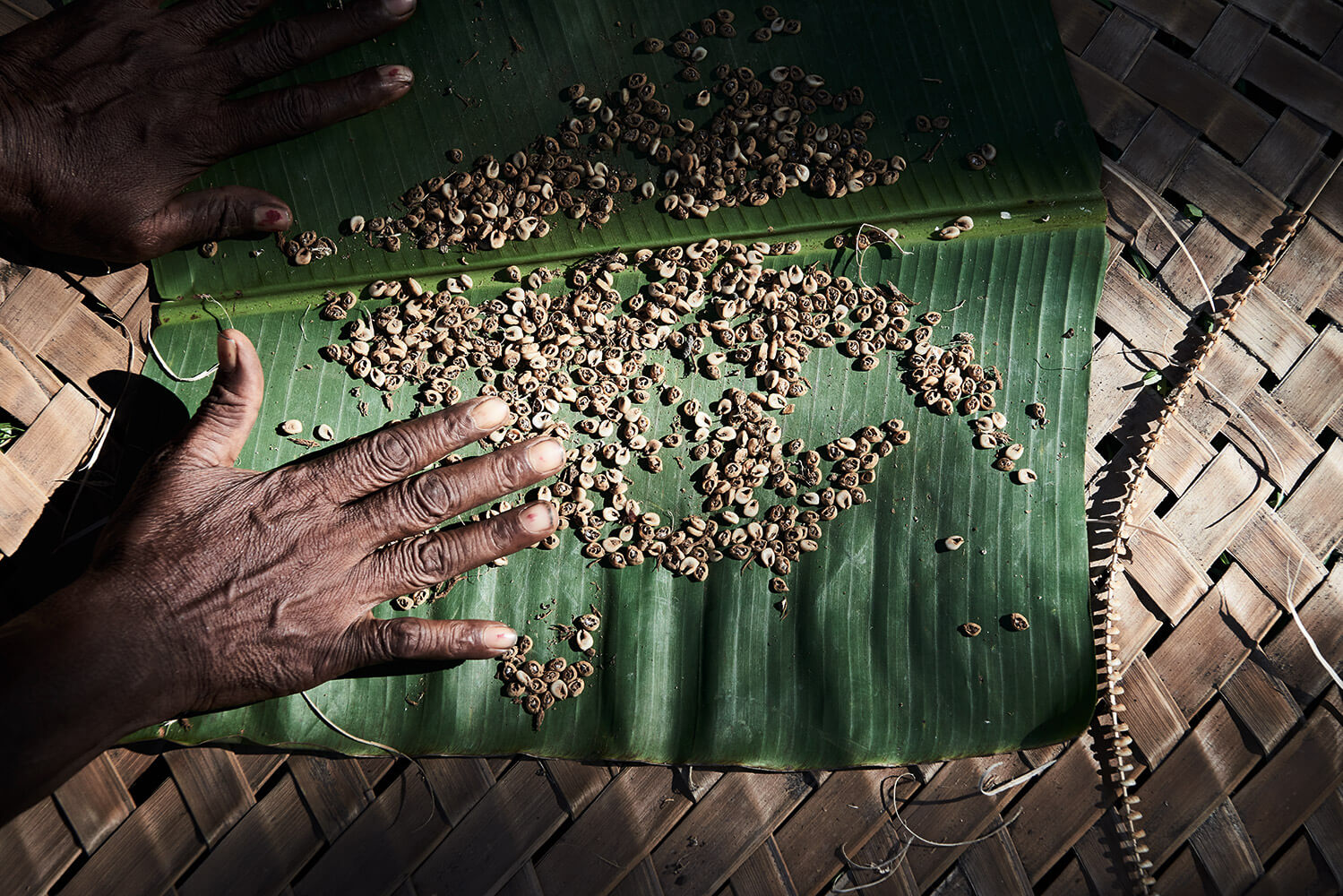 11-Shell-Money-Ellie-Pitil-0770-Kristina-Steiner