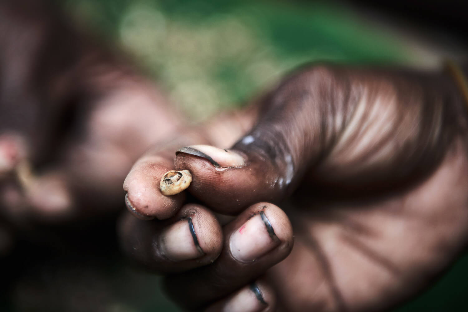 12-Shell-Money-Ellie-Pitil-0555-Kristina-Steiner