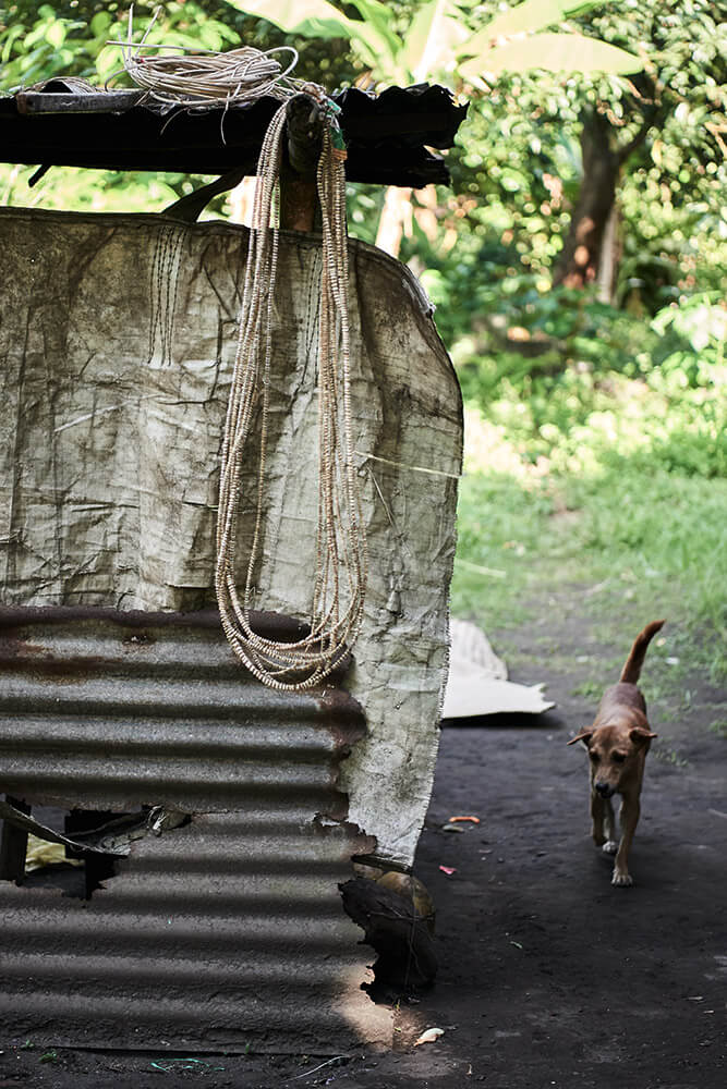 18-Shell-Money-Ellie-Pitil-0763-Kristina-Steiner