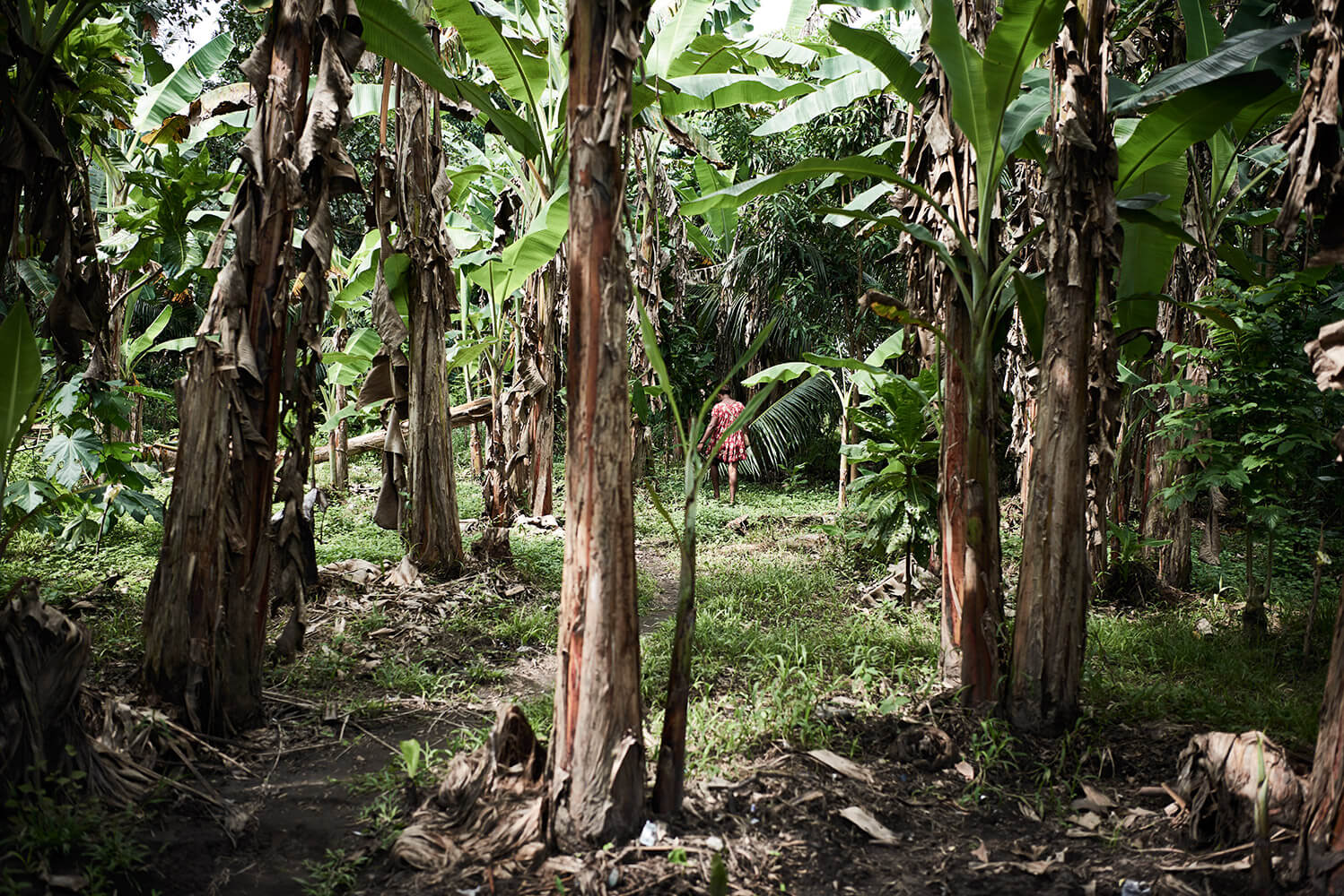 19-Shell-Money-Tauvi-1058-Kristina-Steiner