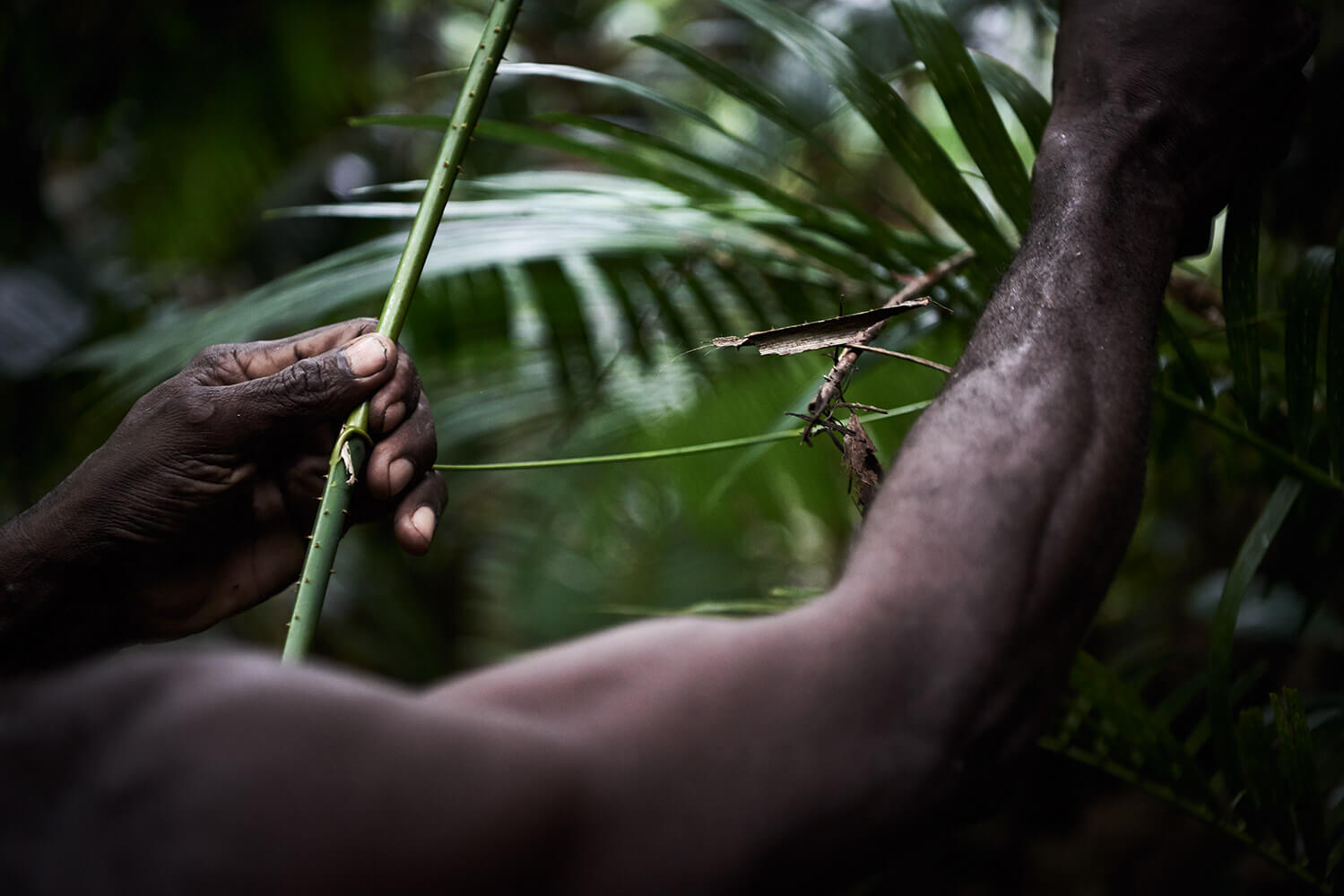 24-Shell-Money-Watom-Island-5404-Kristina-Steiner