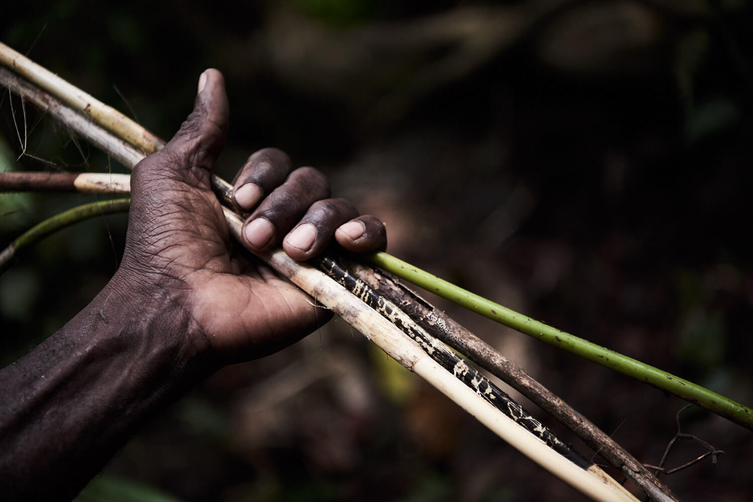 25-Shell-Money-Watom-Island-5420-Kristina-Steiner