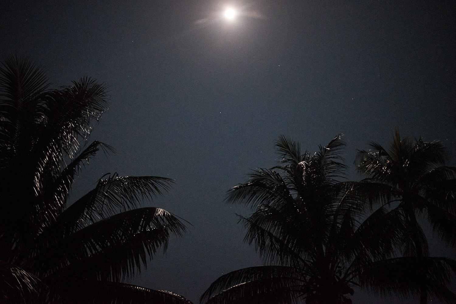 30-Shell-Money-Matupit-Island-Tokiala-5942-Kristina-Steiner