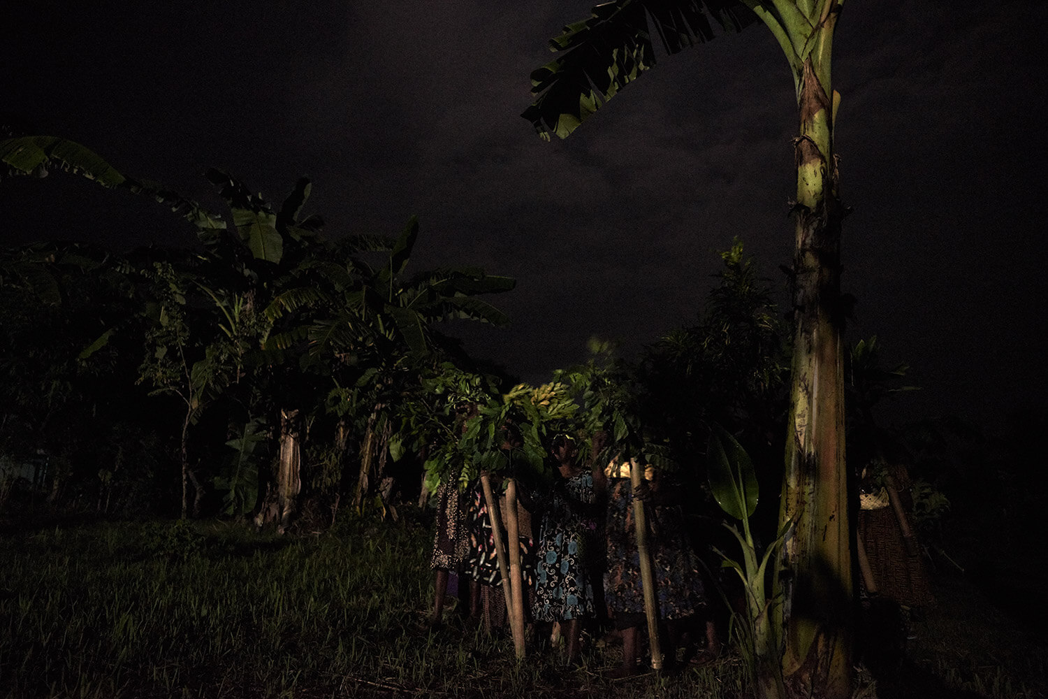 31-Shell-Money-Raulavil-Taktak-2133-Kristina-Steiner