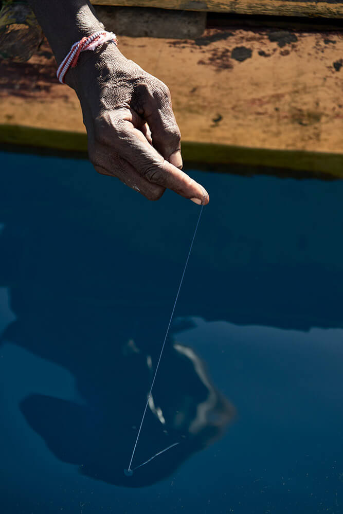 68-Shell-Money-Bismarck-Sea-7771-Kristina-Steiner