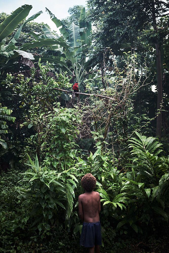 83-Shell-Money-Shell-Money-8574-Kristina-Steiner