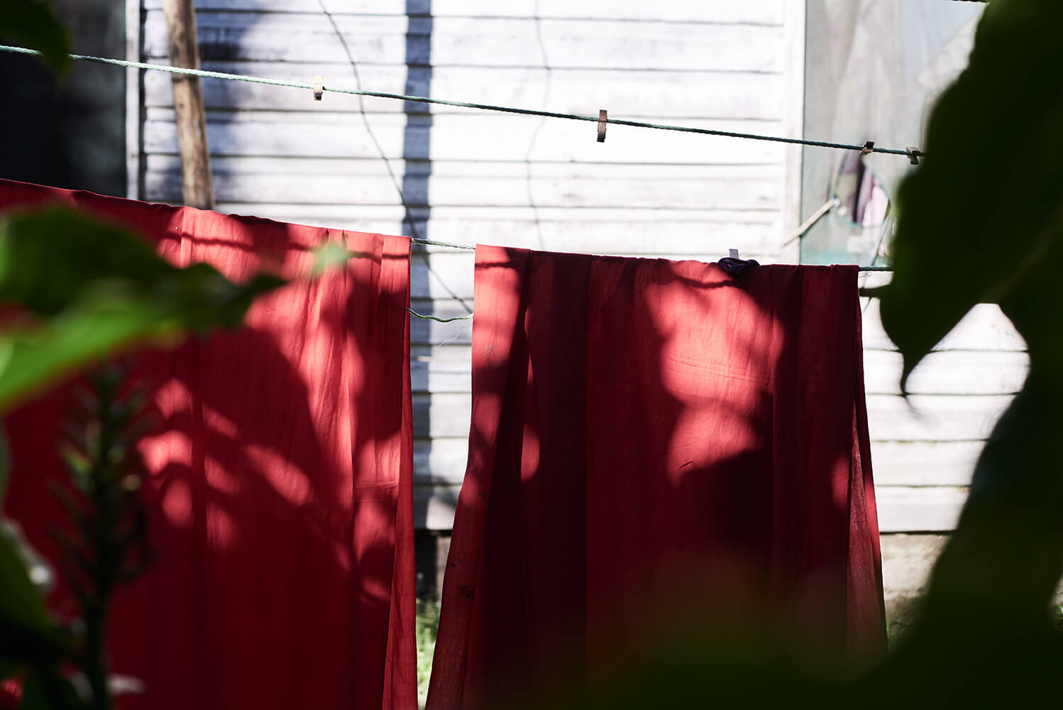 87-Shell-Money-Tavui-7678-Kristina-Steiner