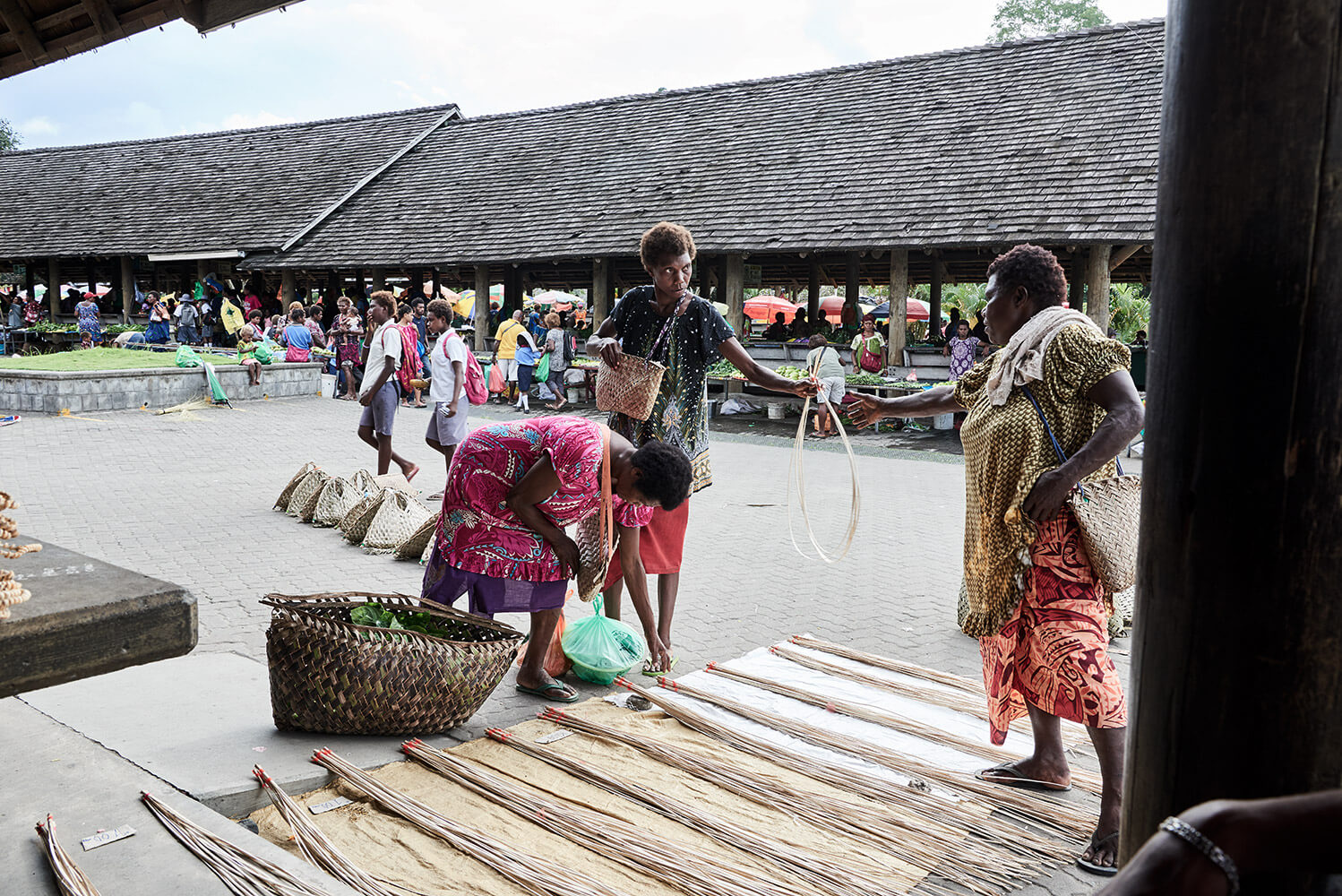 89-Shell-Money-Shell-Money-8486-Kristina-Steiner