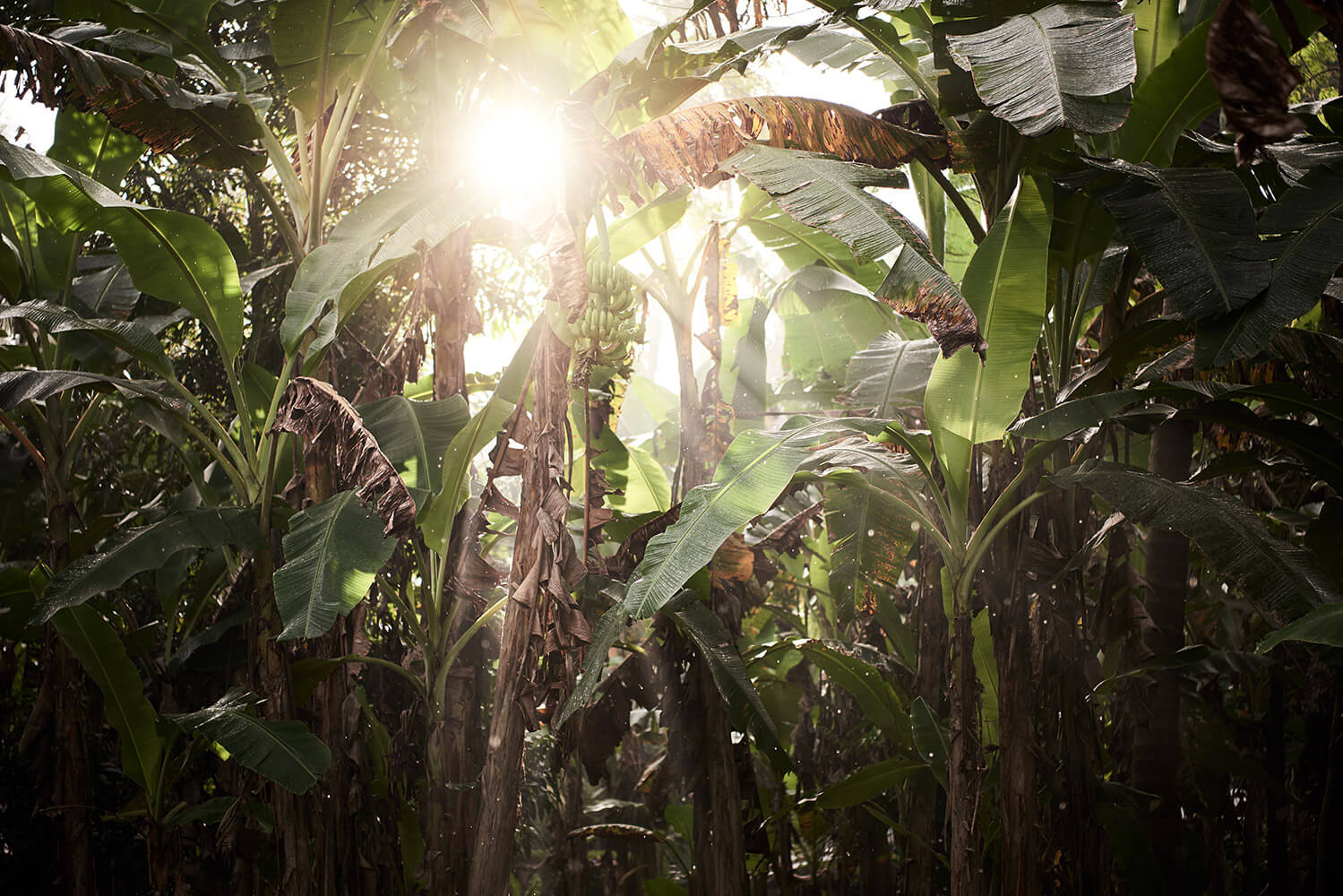 90-Shell-Money-Shell-Money-7517-Kristina-Steiner