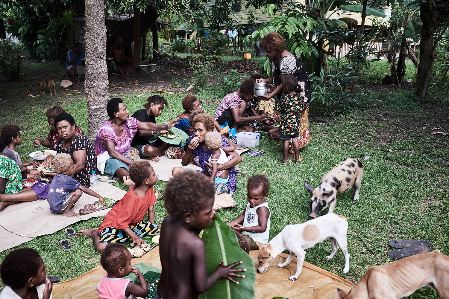 93-Shell-Money-Shell-Money-8660-Kristina-Steiner