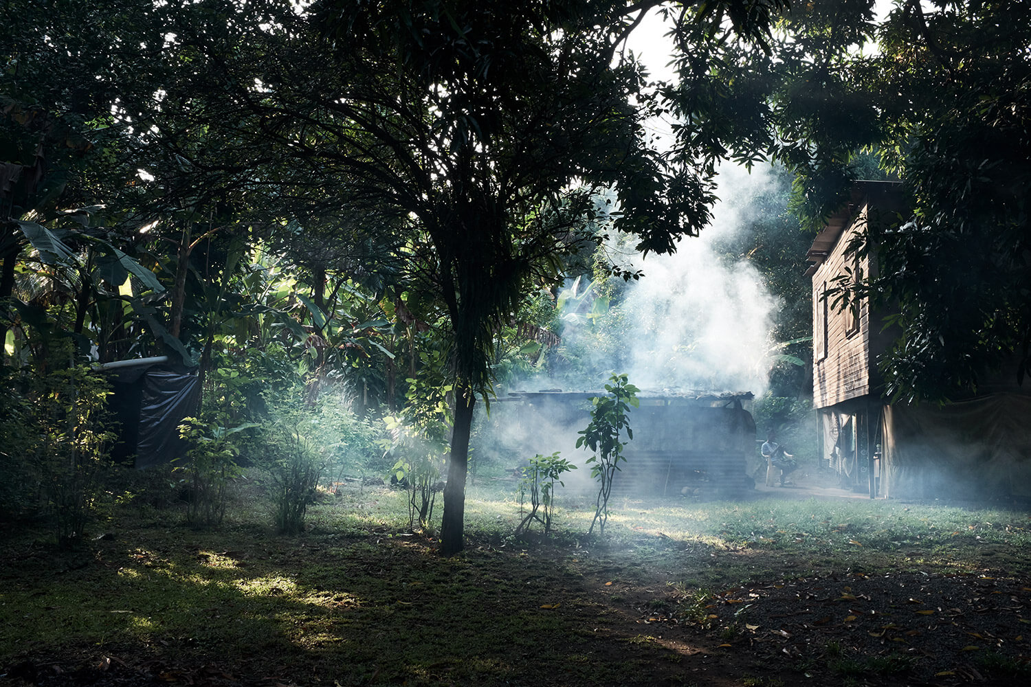 95-Shell-Money-Tavui-6002-Kristina-Steiner