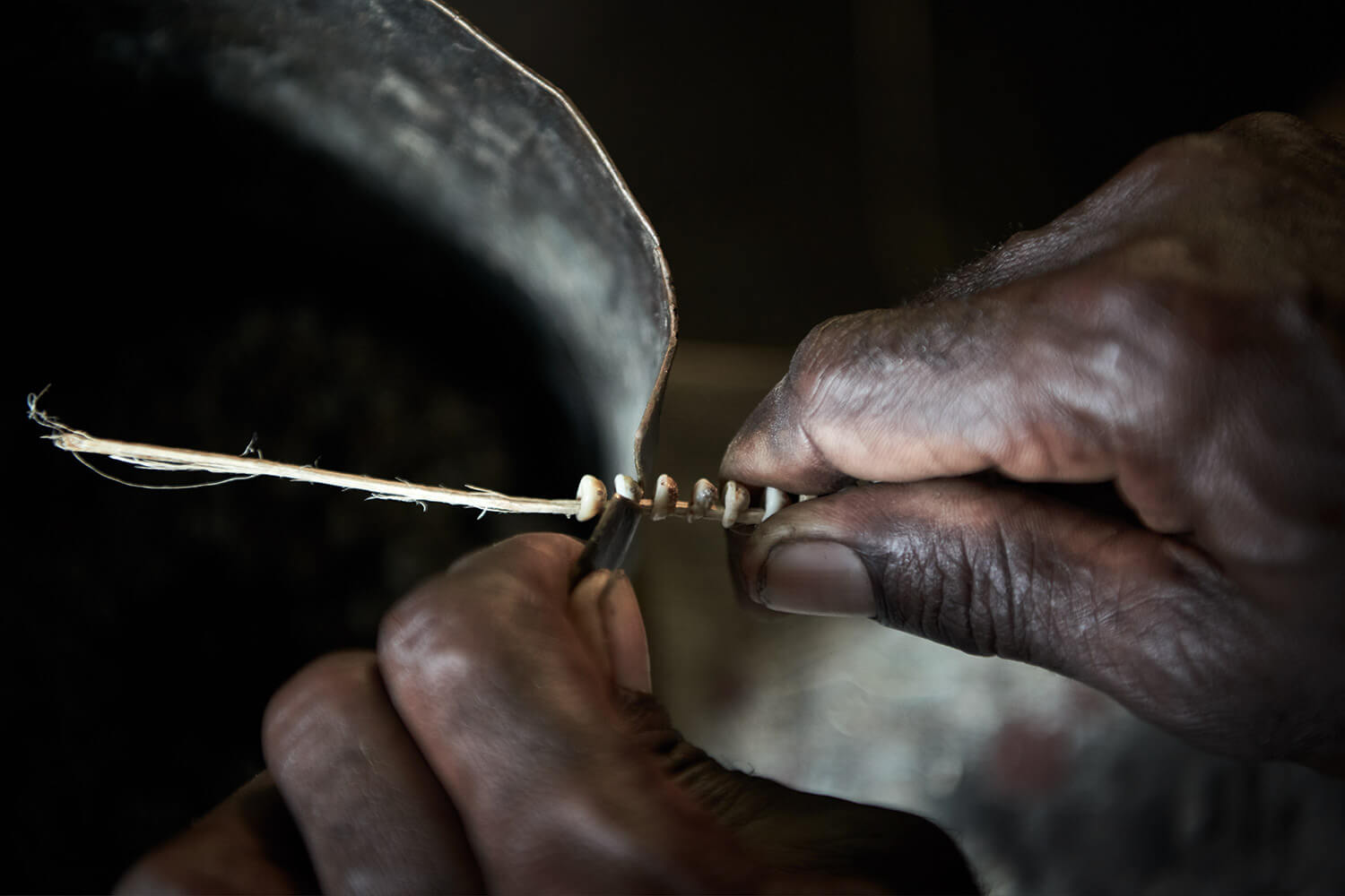 98-Shell-Money-Herman-Tirupia-0887-Kristina-Steiner