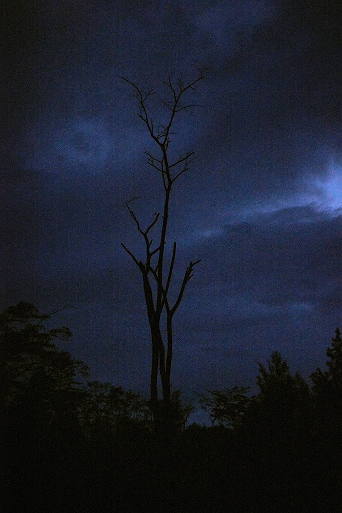 03-Sanguma-Nombuga-1169-Kristina-Steiner