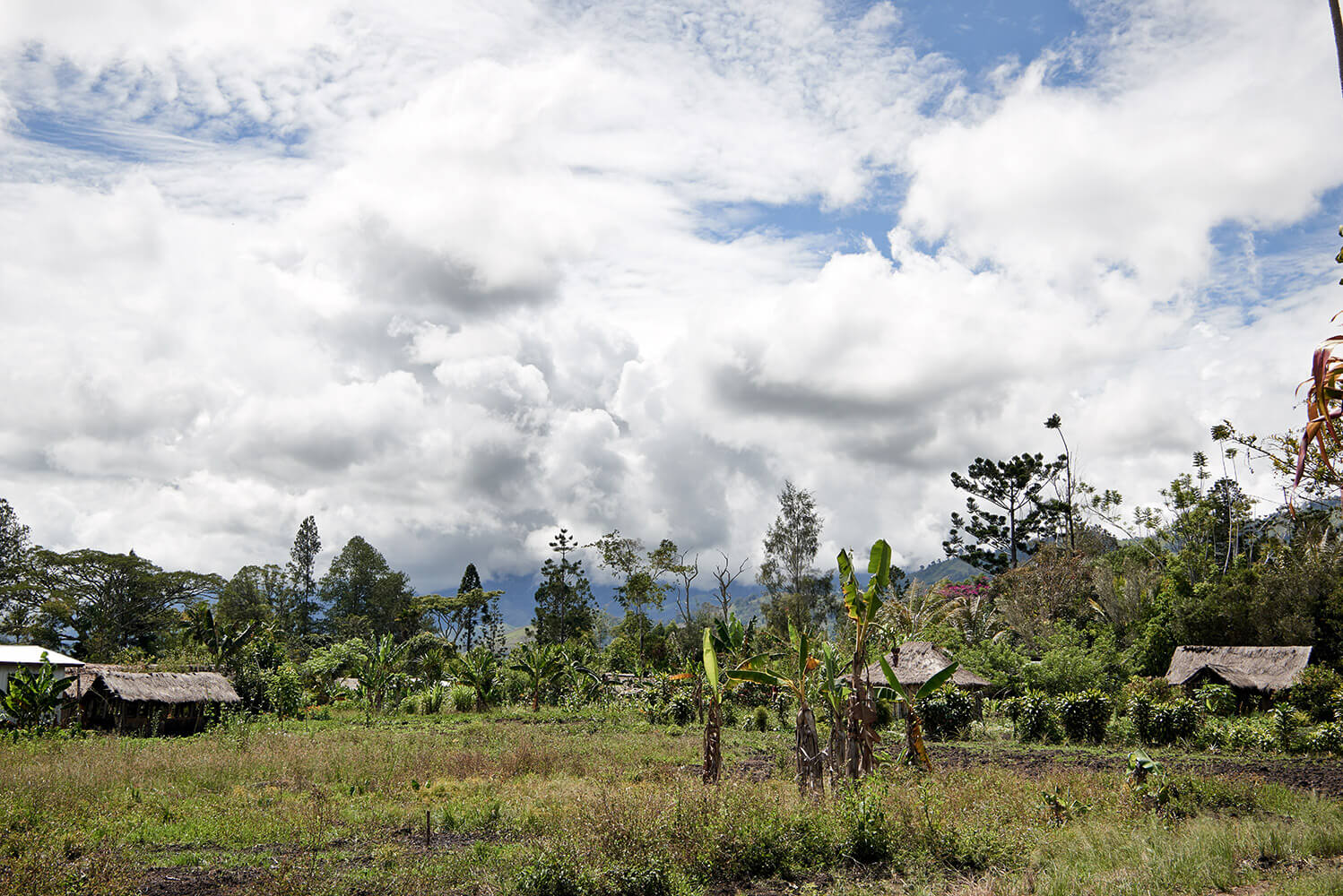 64-Sanguma-Voice-For-Change-3770-Kristina-Steiner