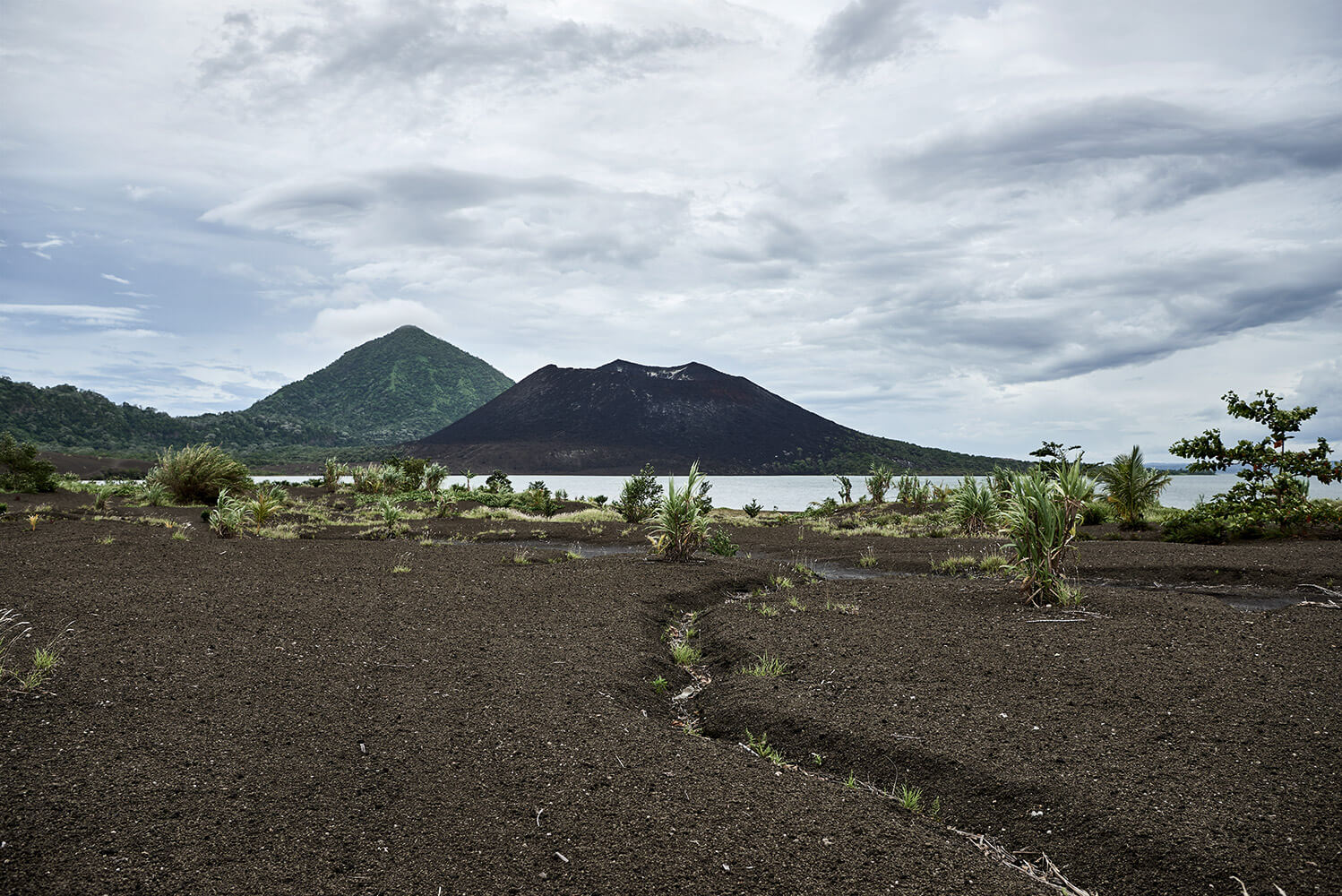 03-Megapode-Egg-Hunters-Chris-0400-Kristina-Steiner