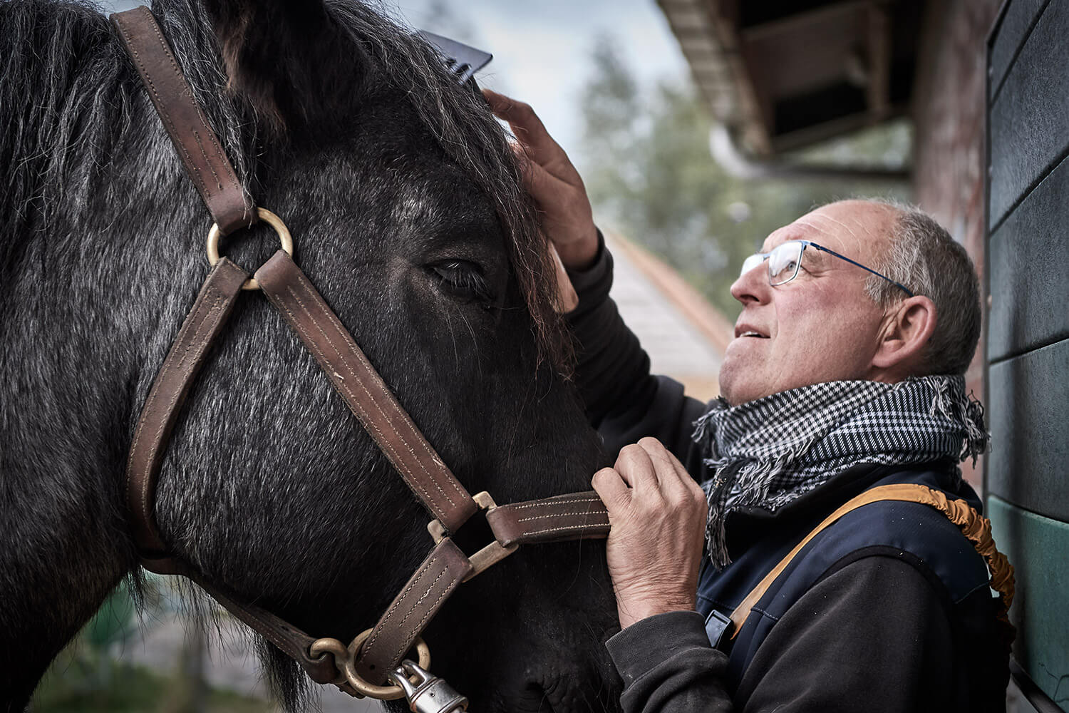 05-Paardenvissers-Stefaan-Hancke-11175-Kristina-Steiner