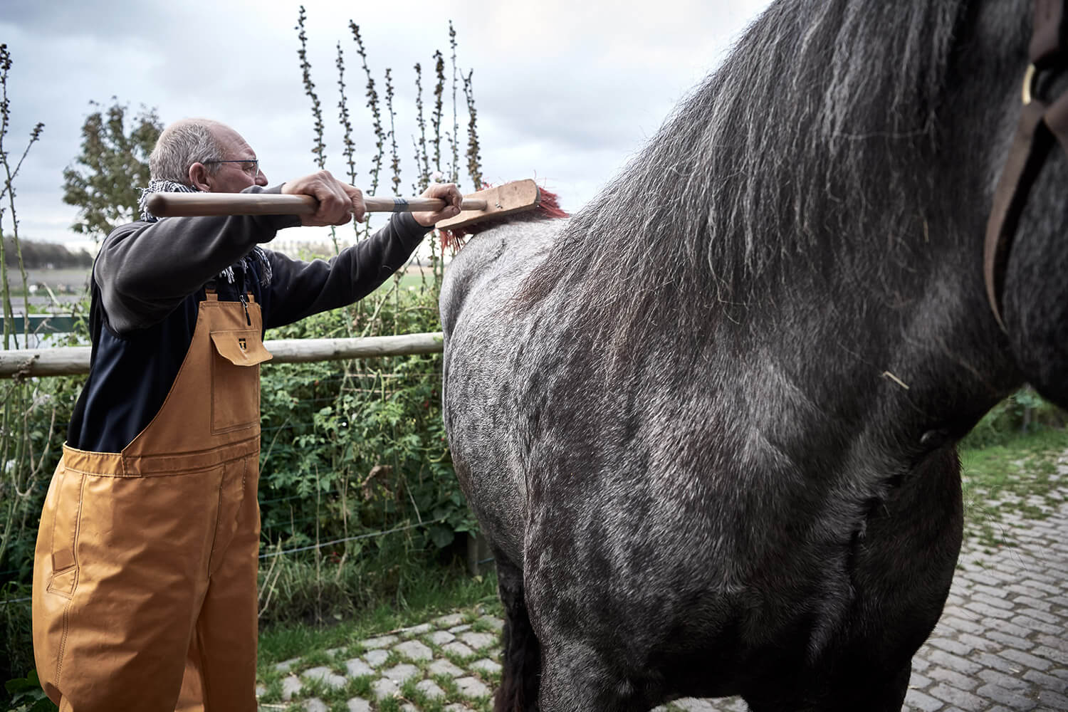 06-Paardenvissers-Stefaan-Hancke-11182-Kristina-Steiner