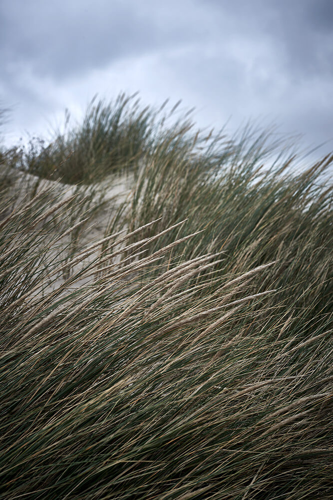 08-Paardenvissers-Oostduinkereke-Strand-2322-Kristina-Steiner
