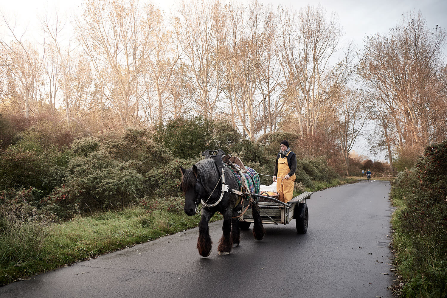11-Paardenvissers-Stefaan-Hancke-1026-Kristina-Steiner