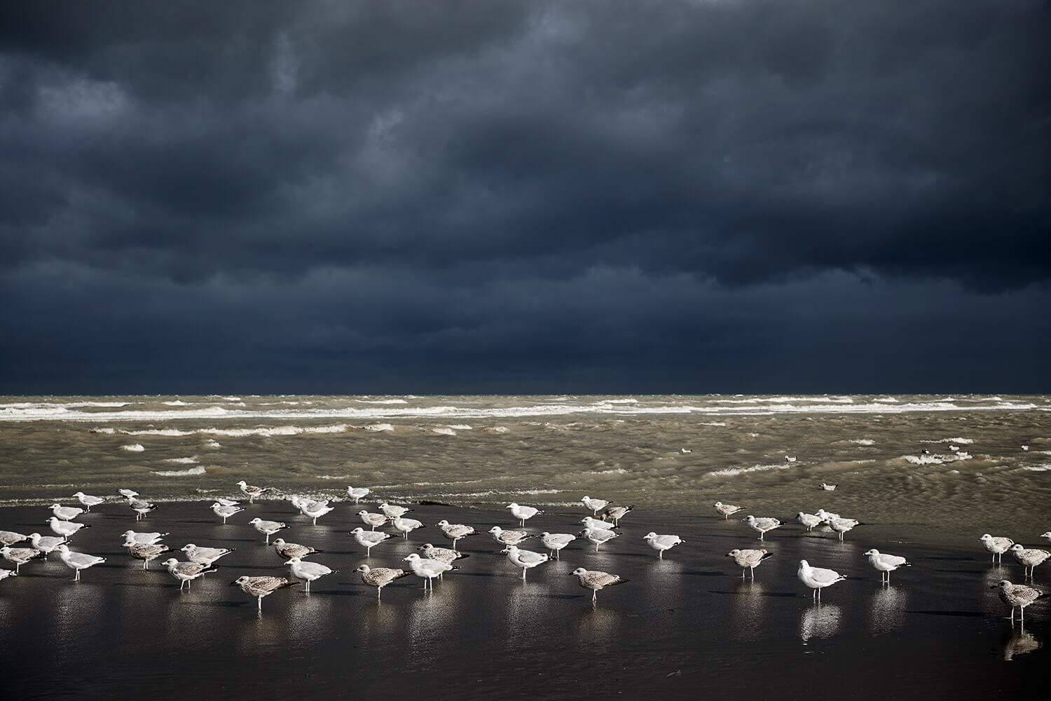 12-Paardenvissers-Oostduinkereke-Strand-0408-Kristina-Steiner