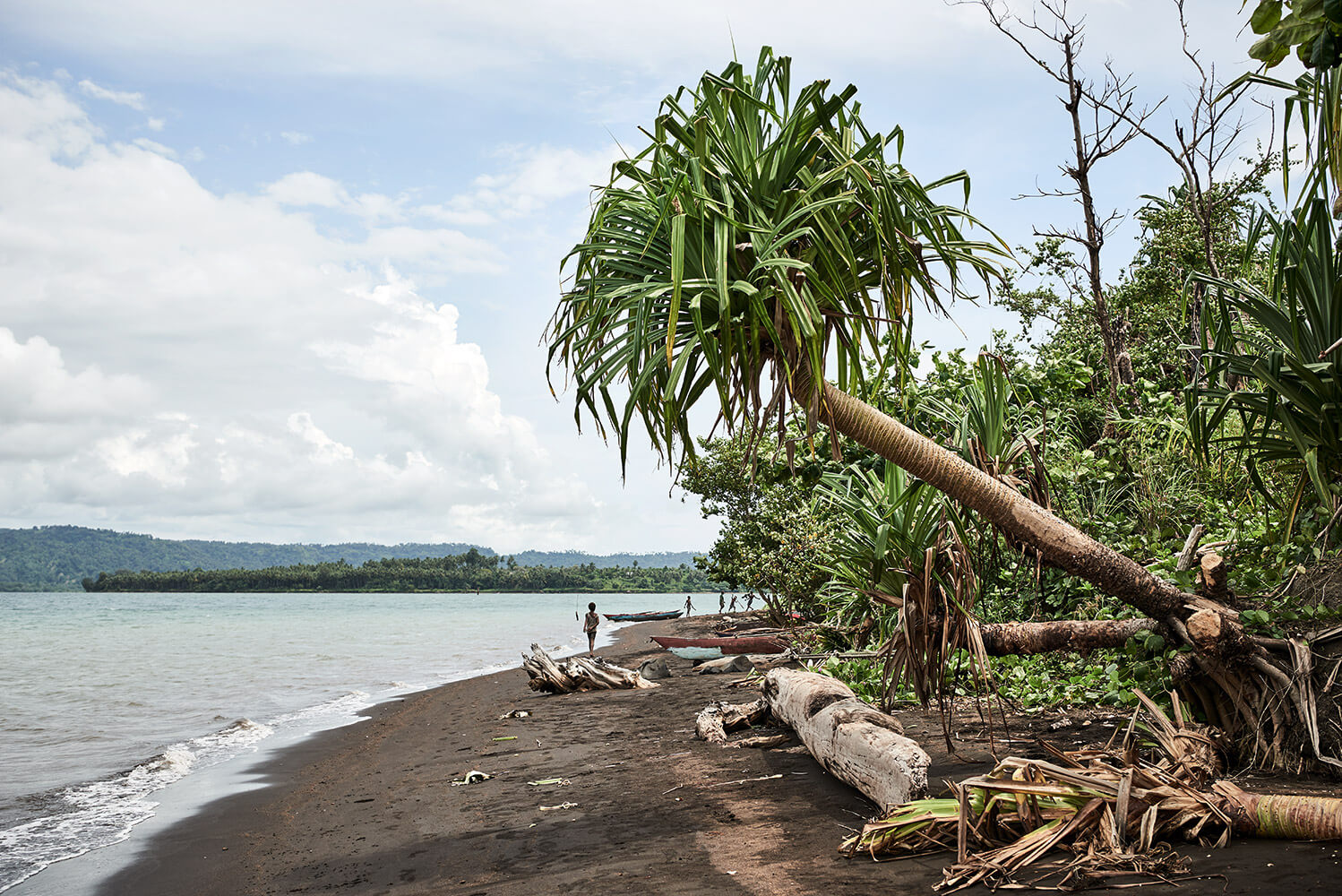 14-Megapode-Egg-Hunters-3435-Kristina-Steiner