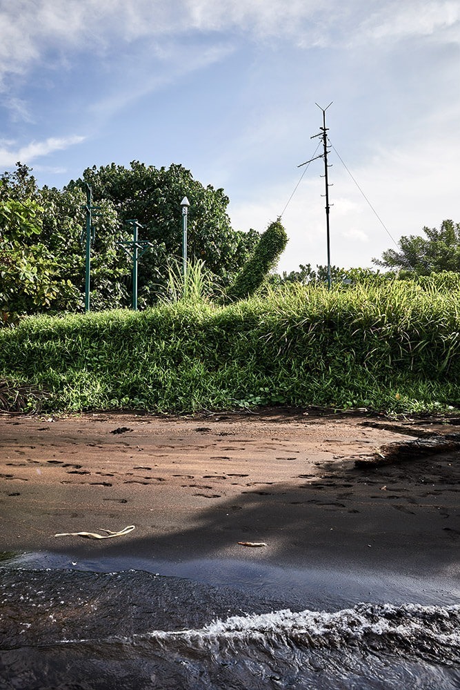 15-Megapode-Egg-Hunters-2889-Kristina-Steiner