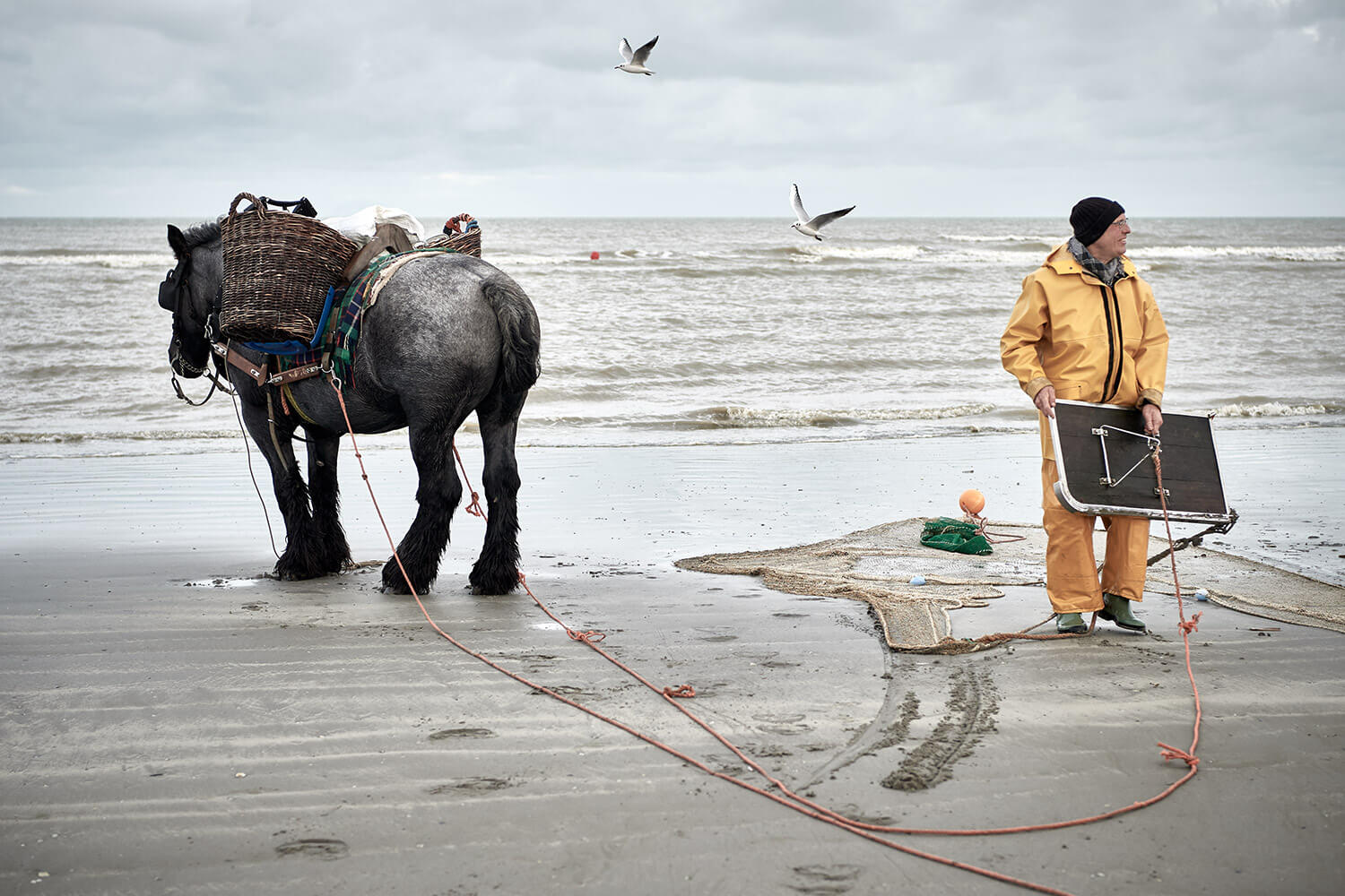 15-Paardenvissers-Stefaan-Hancke-0134-Kristina-Steiner