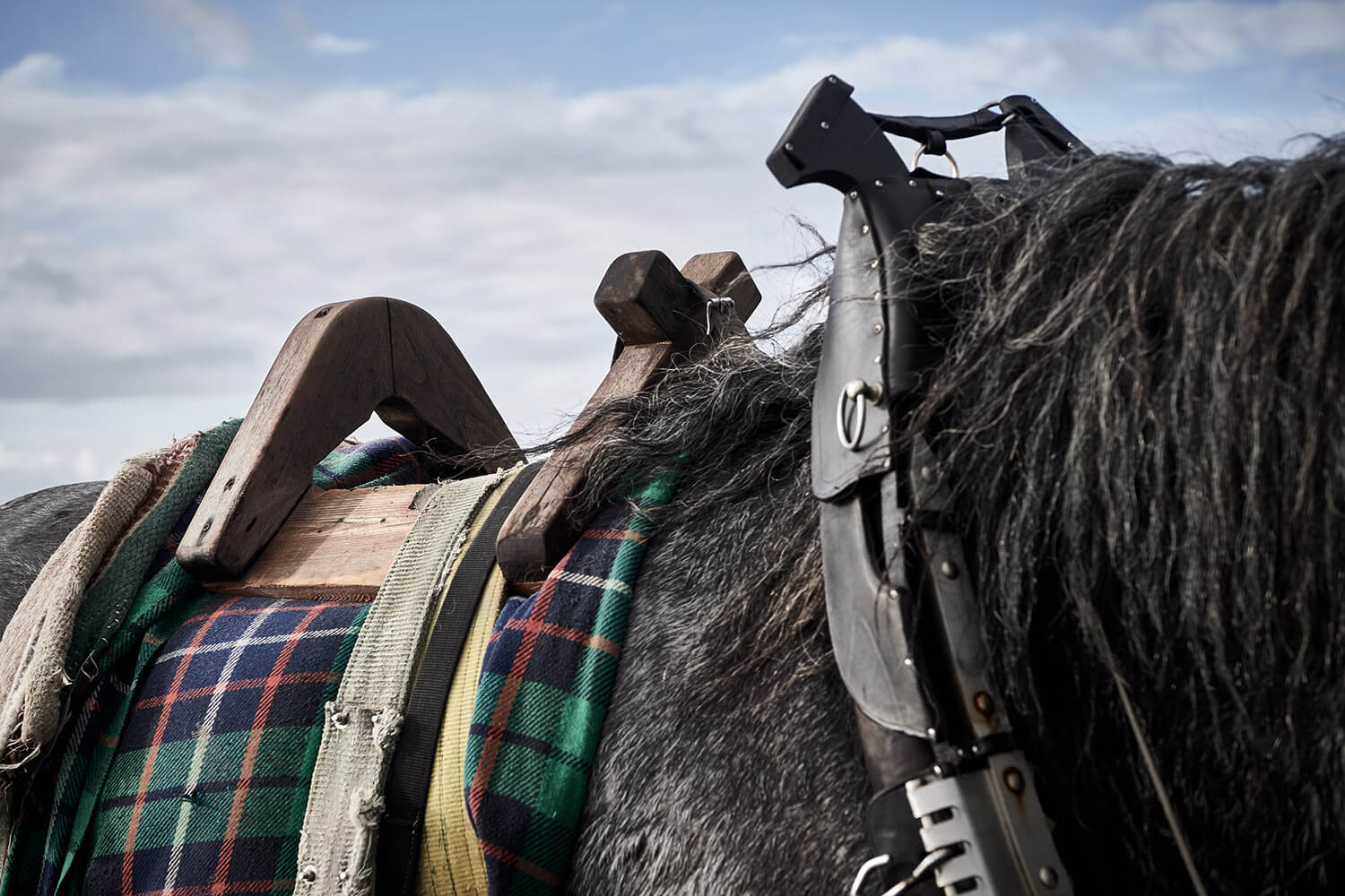 16-Paardenvissers-Dina-0436-Kristina-Steiner