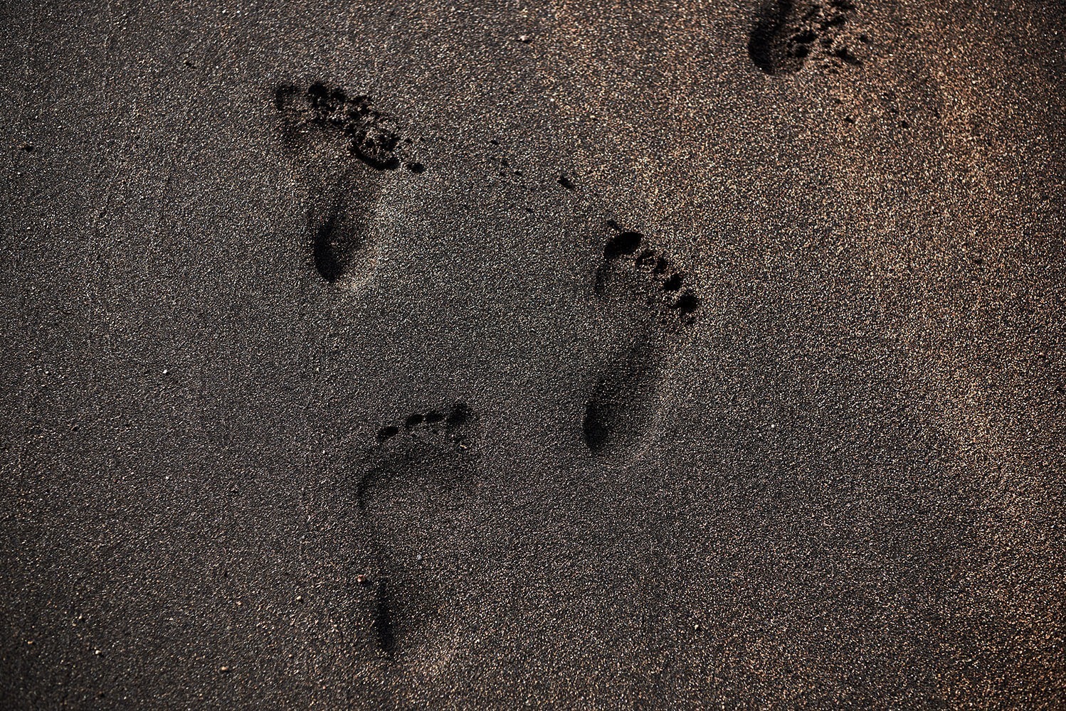 17-Megapode-Egg-Hunters-2859-Kristina-Steiner