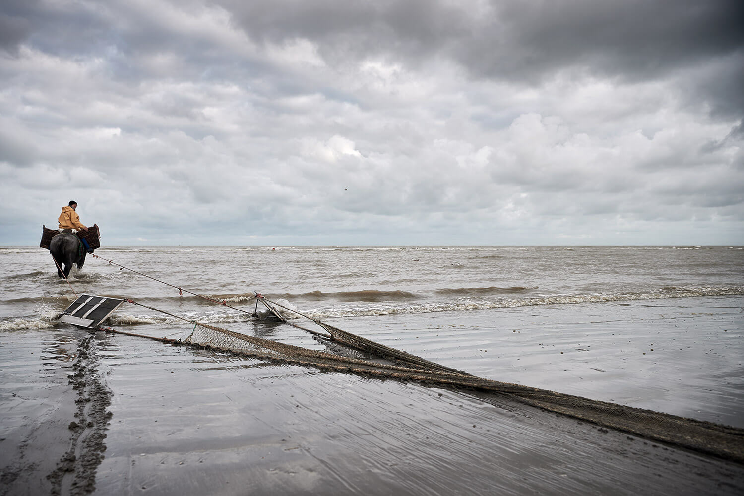 19-Paardenvissers-Stefaan-Hancke-0154-Kristina-Steiner