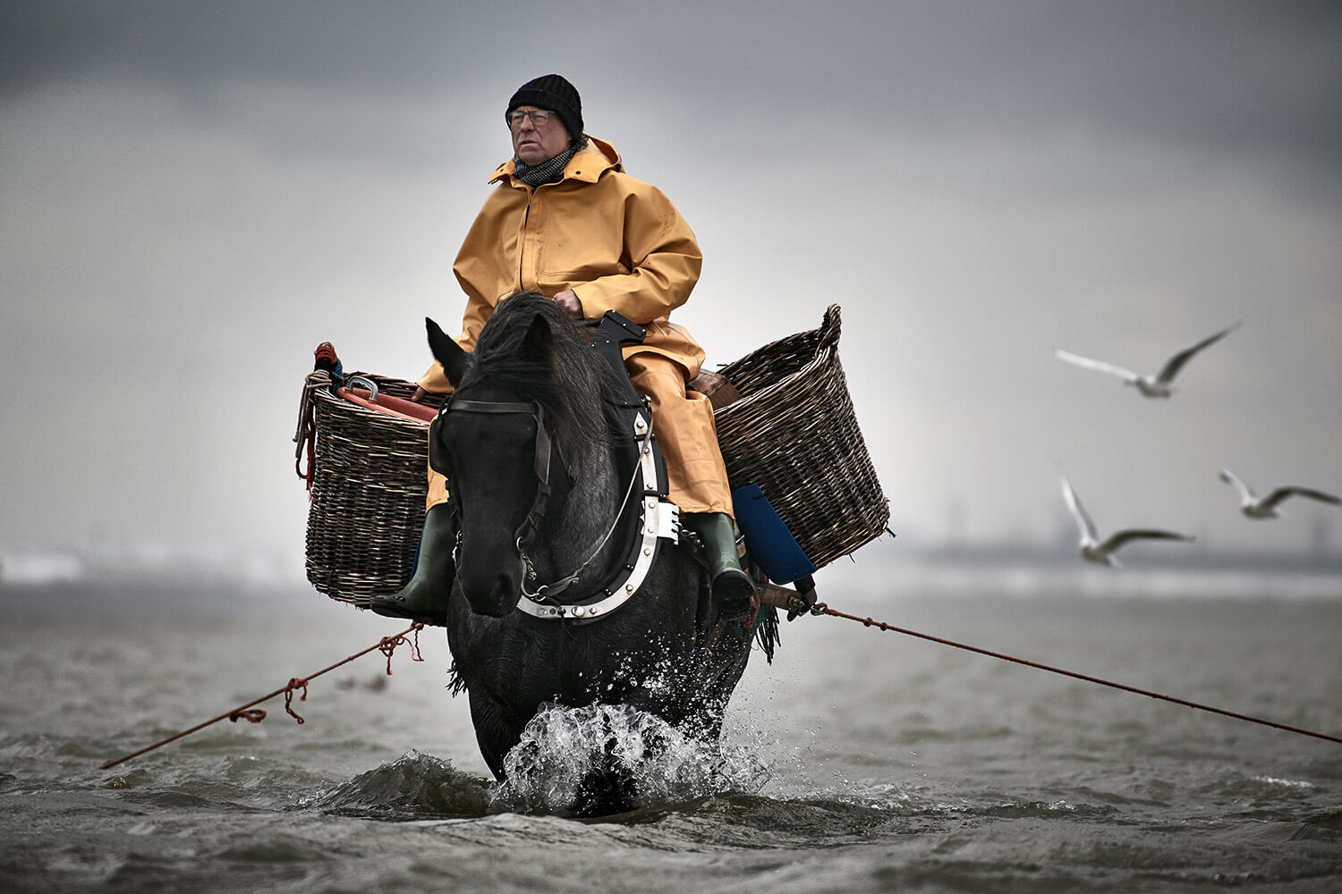 21-Paardenvissers-Stefaan-Hancke-1633-Kristina-Steiner