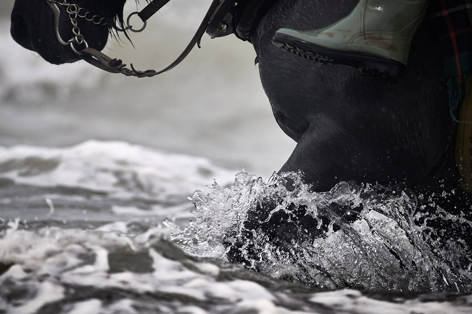 22-Paardenvissers-Dina-2865-Kristina-Steiner