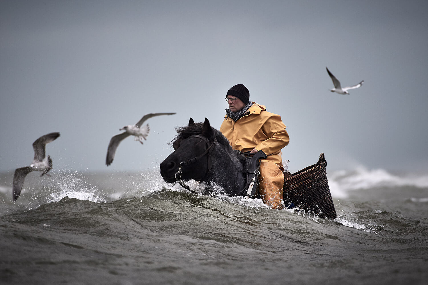 23-Paardenvissers-Stefaan-Hancke-2724-Kristina-Steiner