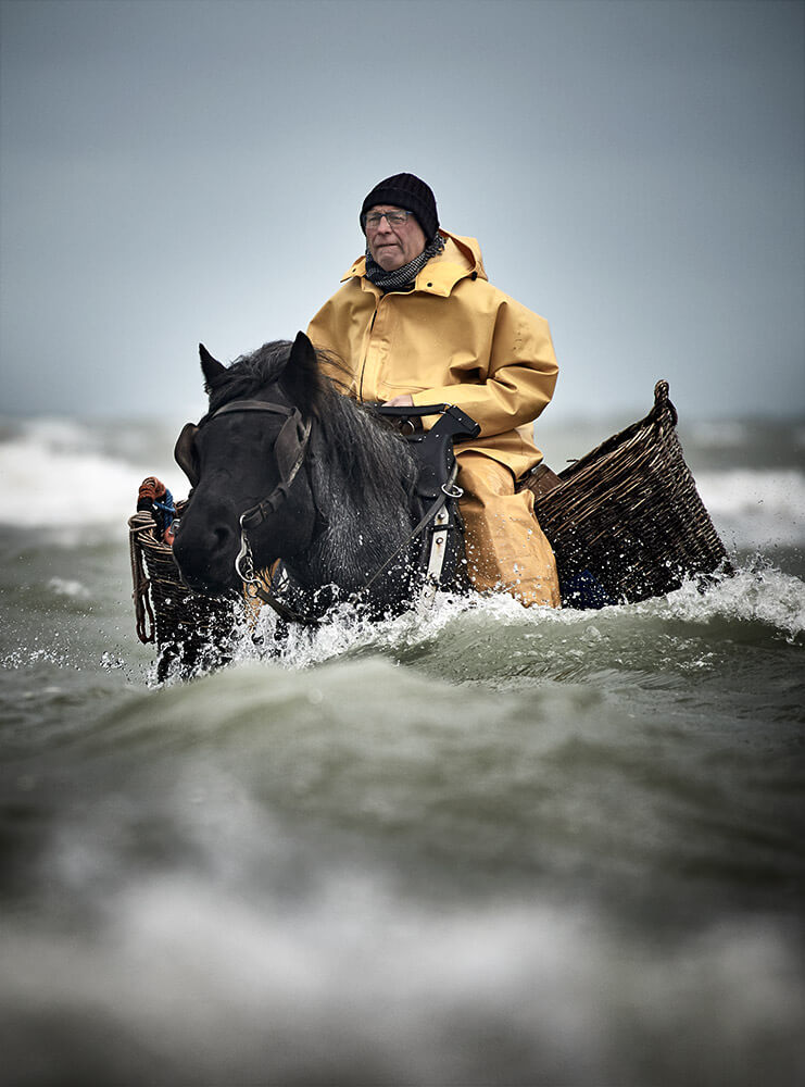 25-Paardenvissers-Stefaan-Hancke-1805-Kristina-Steiner
