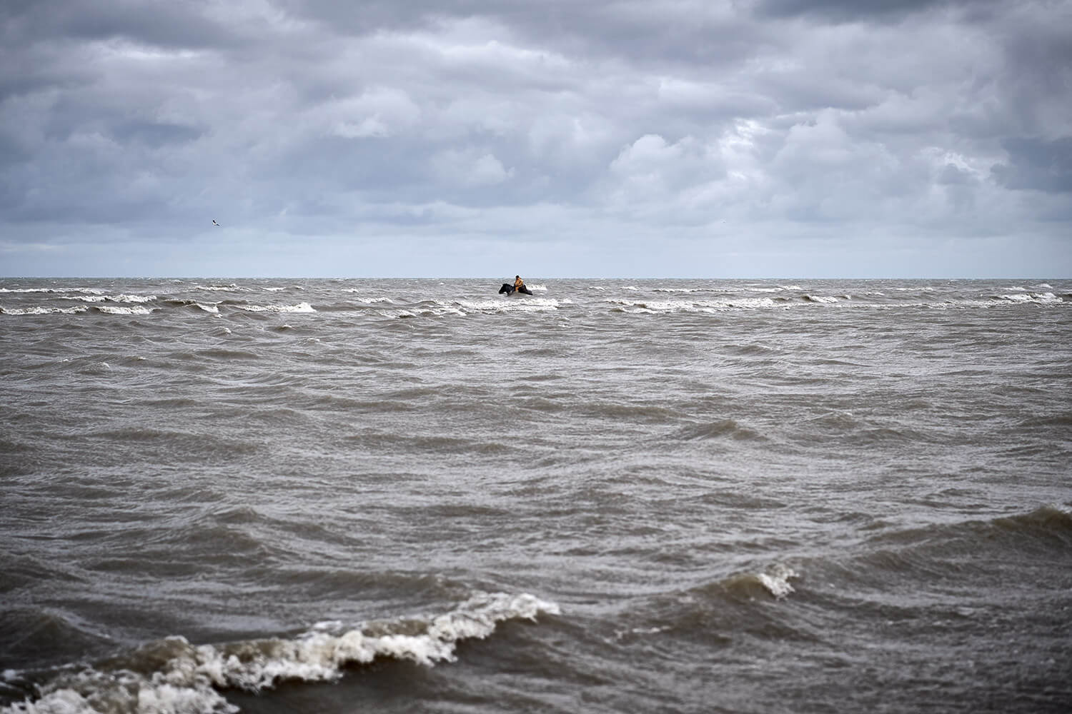 26_Paardenvissers-Stefaan-Hancke-0195-Kristina-Steiner