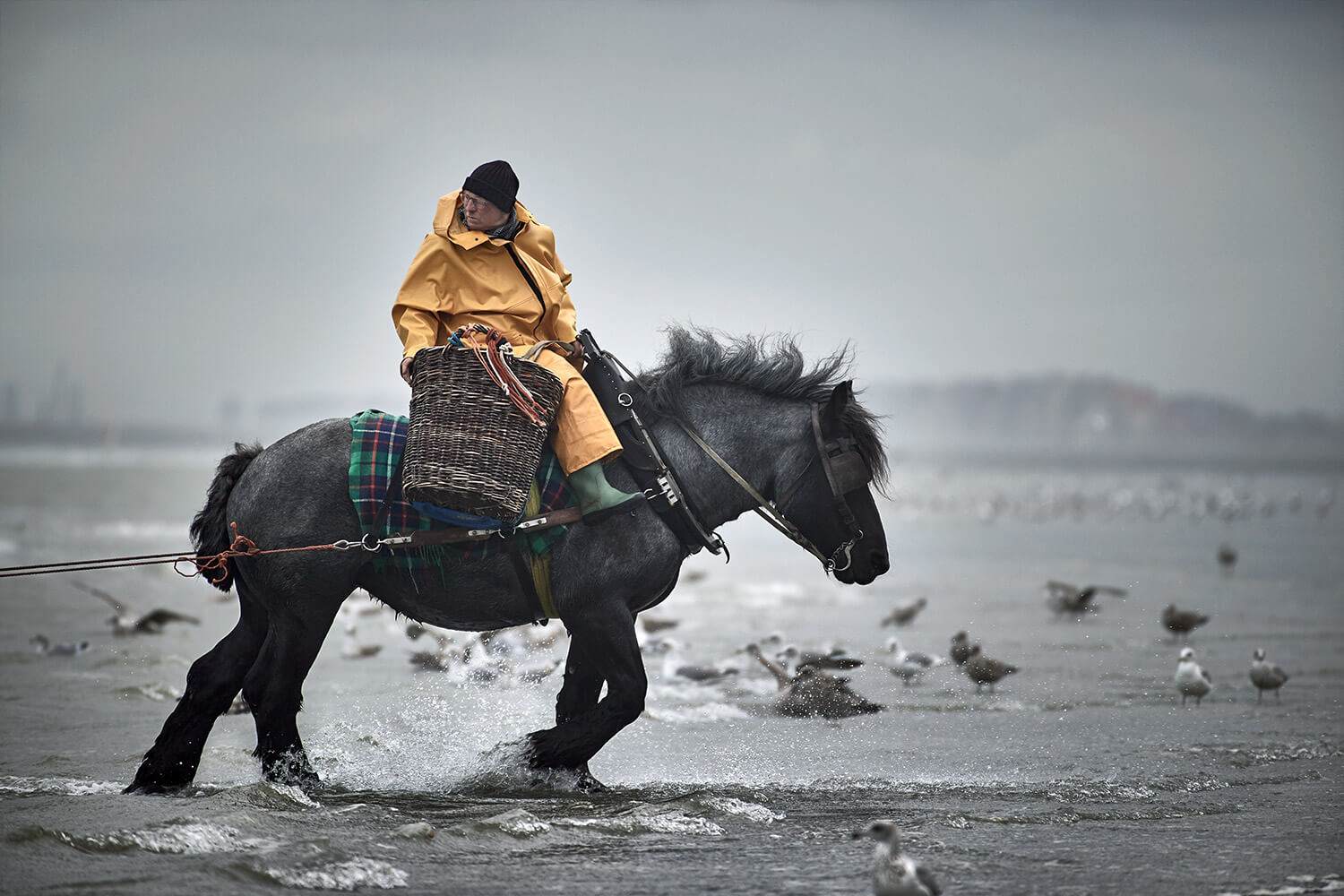 28-Paardenvissers-Stefaan-Hancke-1479-Kristina-Steiner