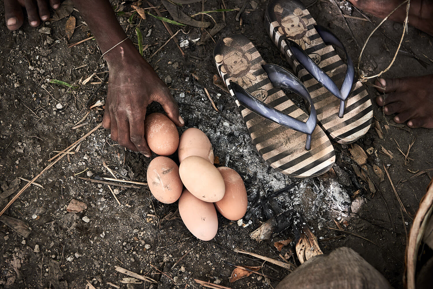 29-Megapode-Egg-Hunters-3065-Kristina-Steiner