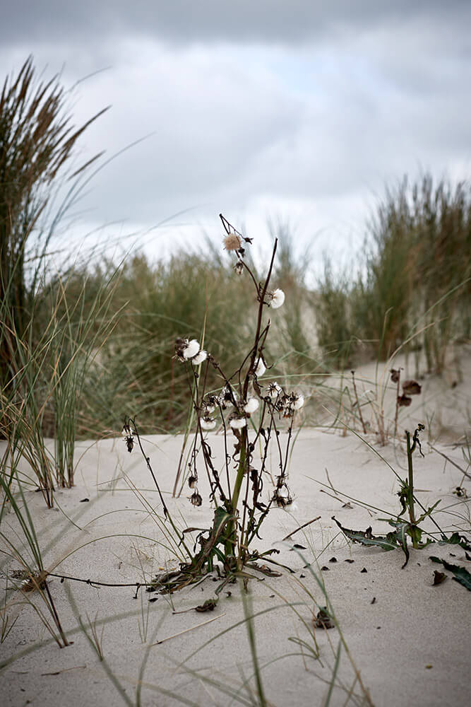 32-Oostduinkereke-Strand-2333-Kristina-Steiner