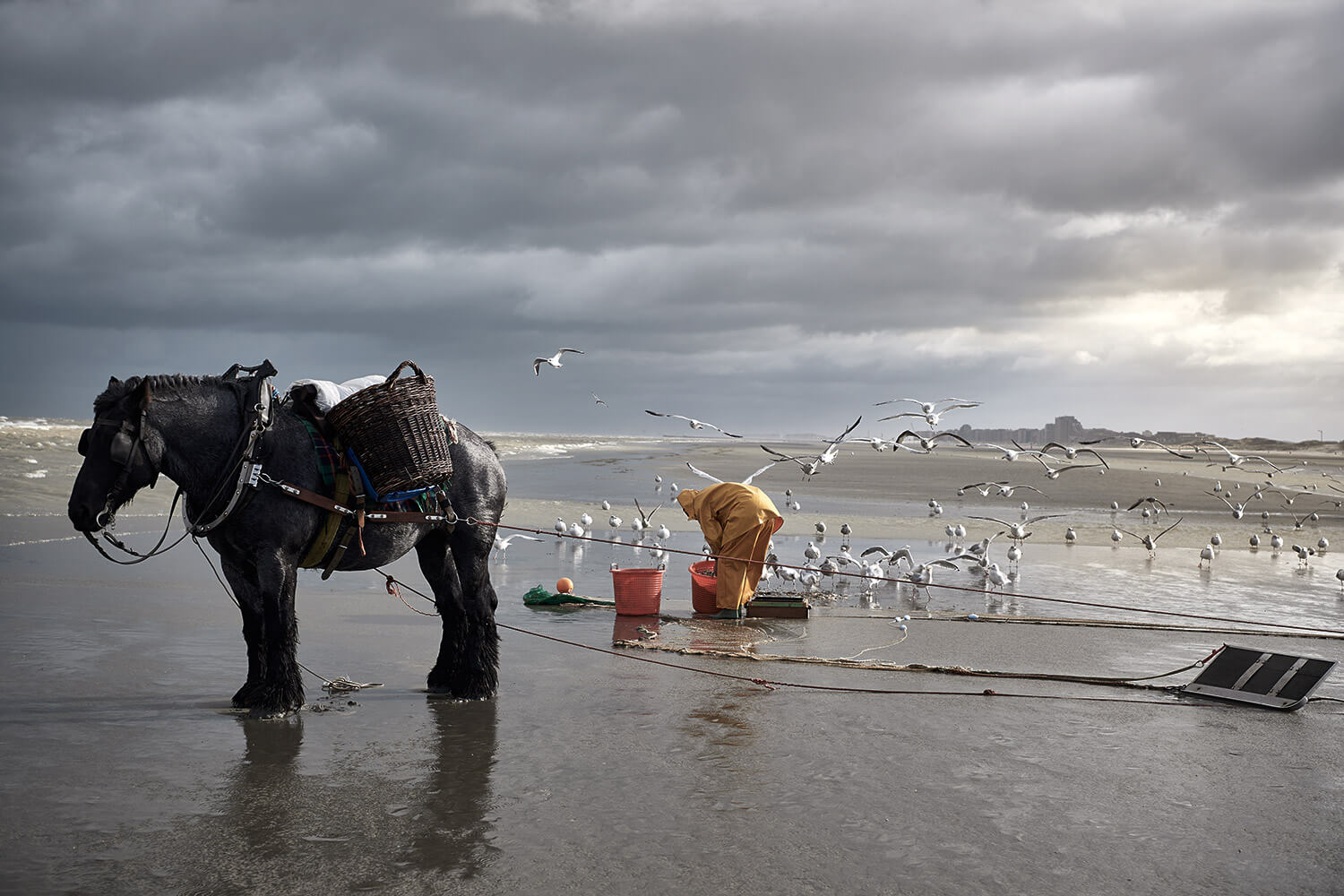 33-Paardenvissers-Stefaan-Hancke-0398-Kristina-Steiner