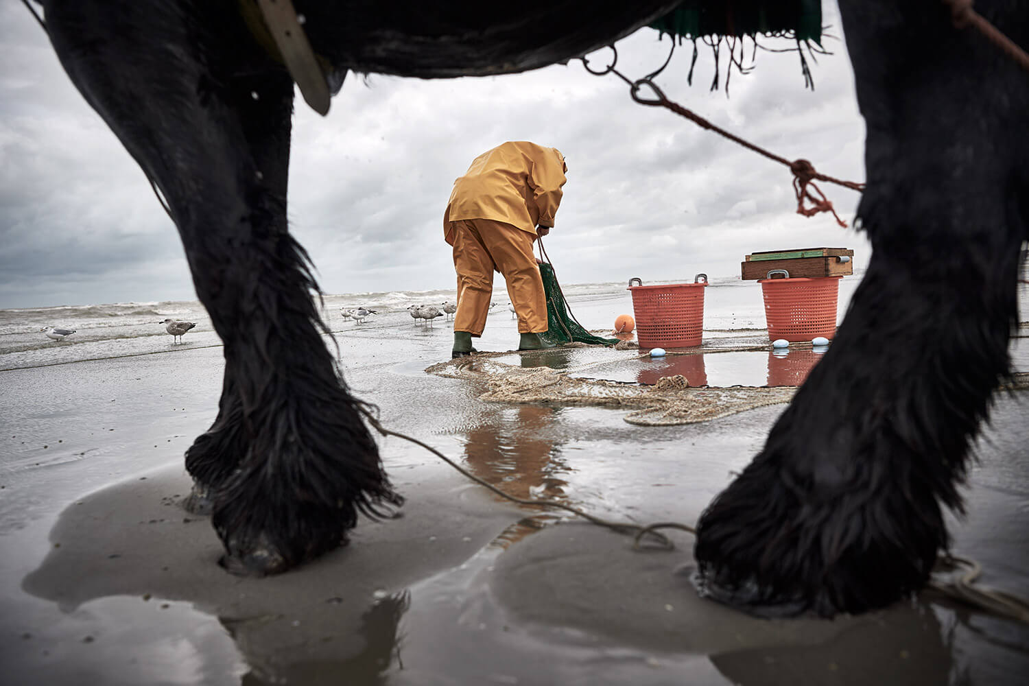 34-Paardenvissers-Stefaan-Hancke-0209-Kristina-Steiner