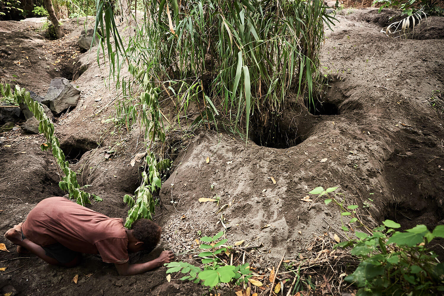 37-Megapode-Egg-Hunters-2969-Kristina-Steiner