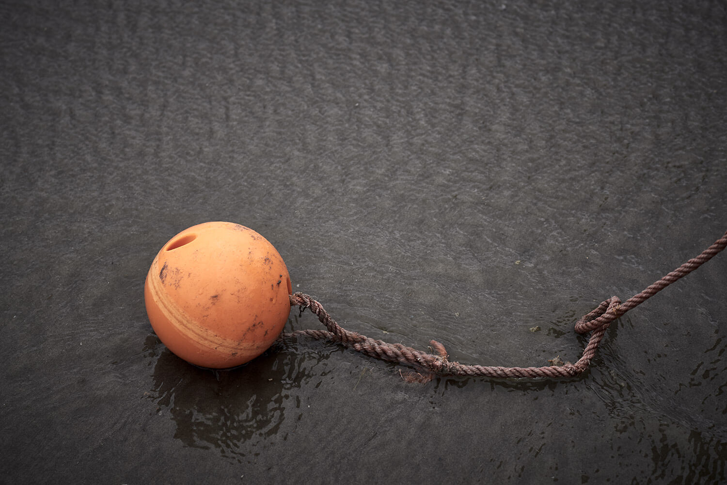 38-Paardenvissers-Oostduinkereke-Strand-2404-Kristina-Steiner