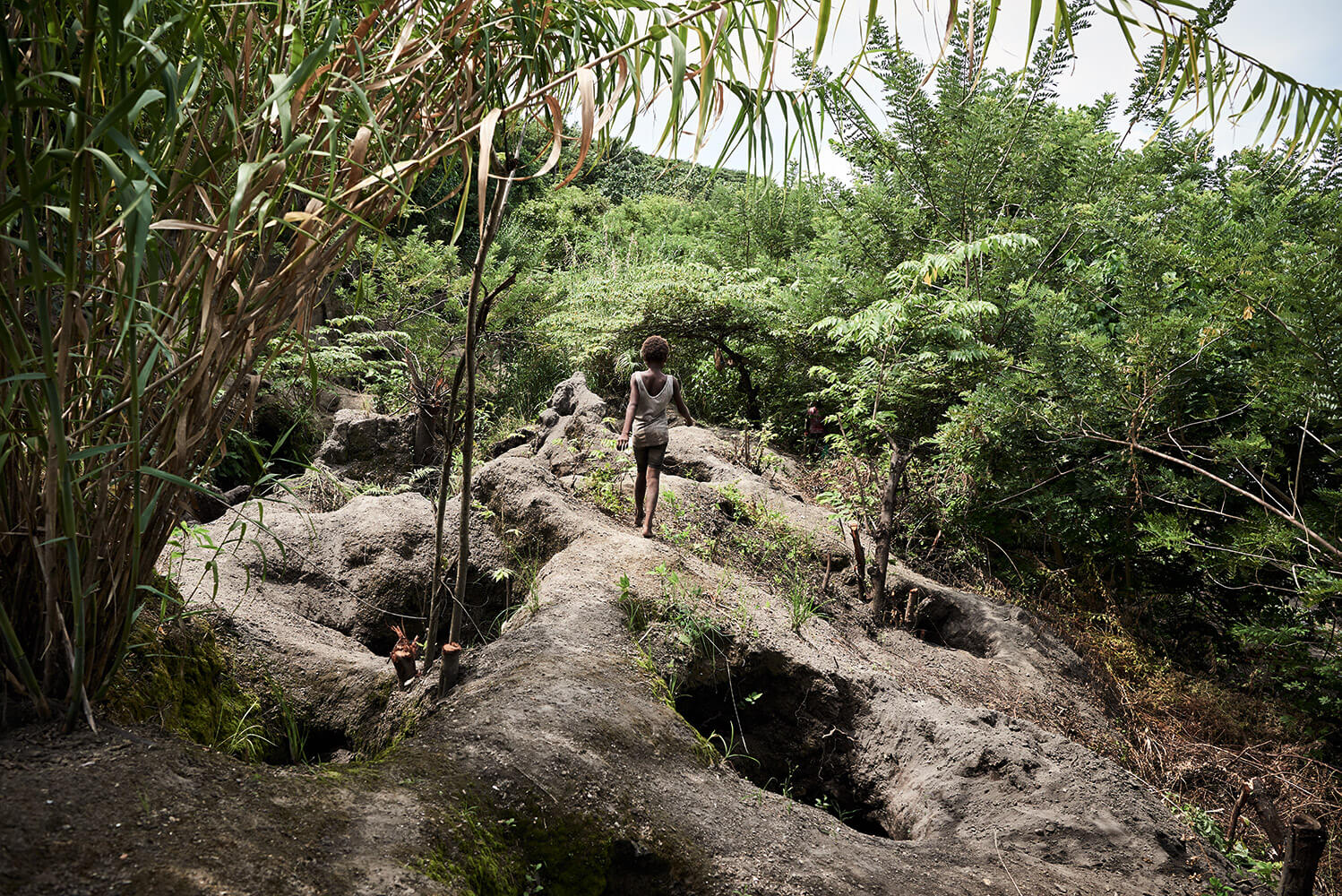 40-Megapode-Egg-Hunters-3304-Kristina-Steiner