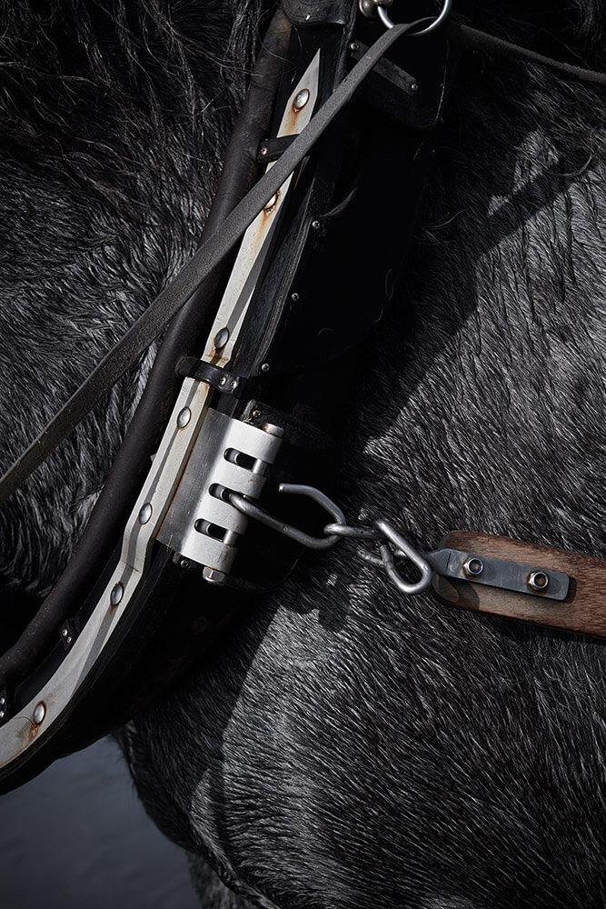 40-Paardenvissers-Dina-0521-Kristina-Steiner