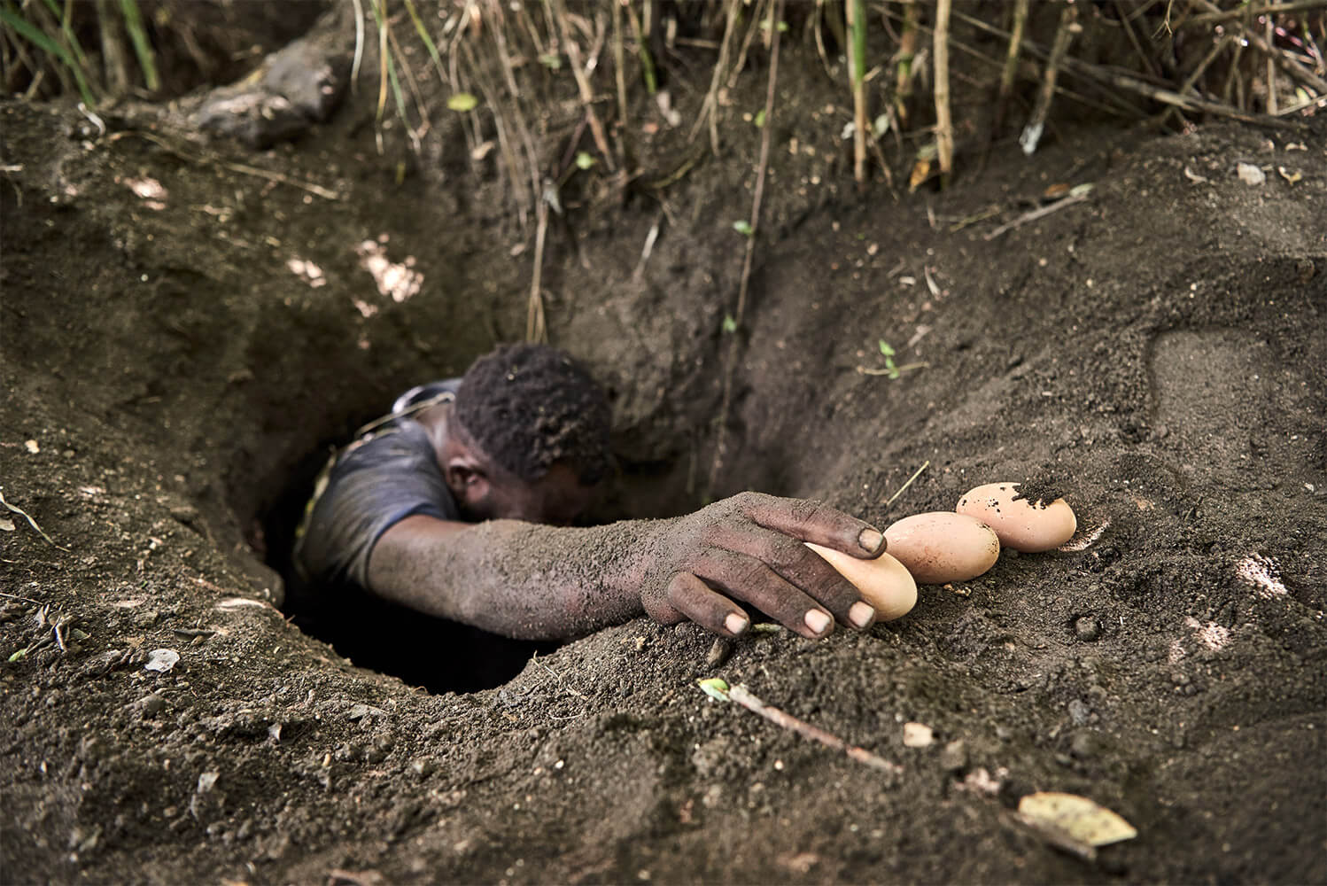 43-Megapode-Egg-Hunters-Chris-0085-Kristina-Steiner