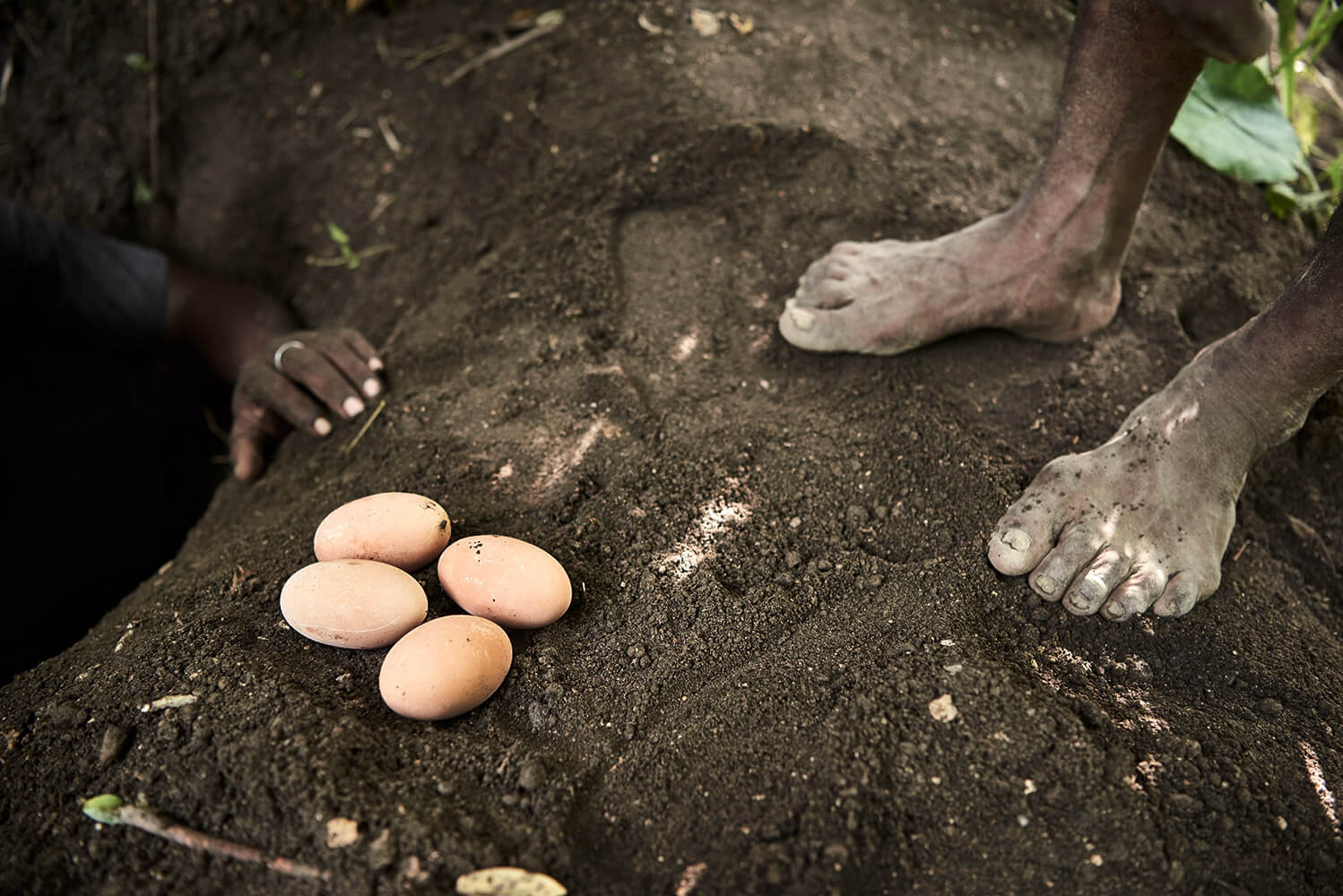 44-Megapode-Egg-Hunters-Chris-0090-Kristina-Steiner