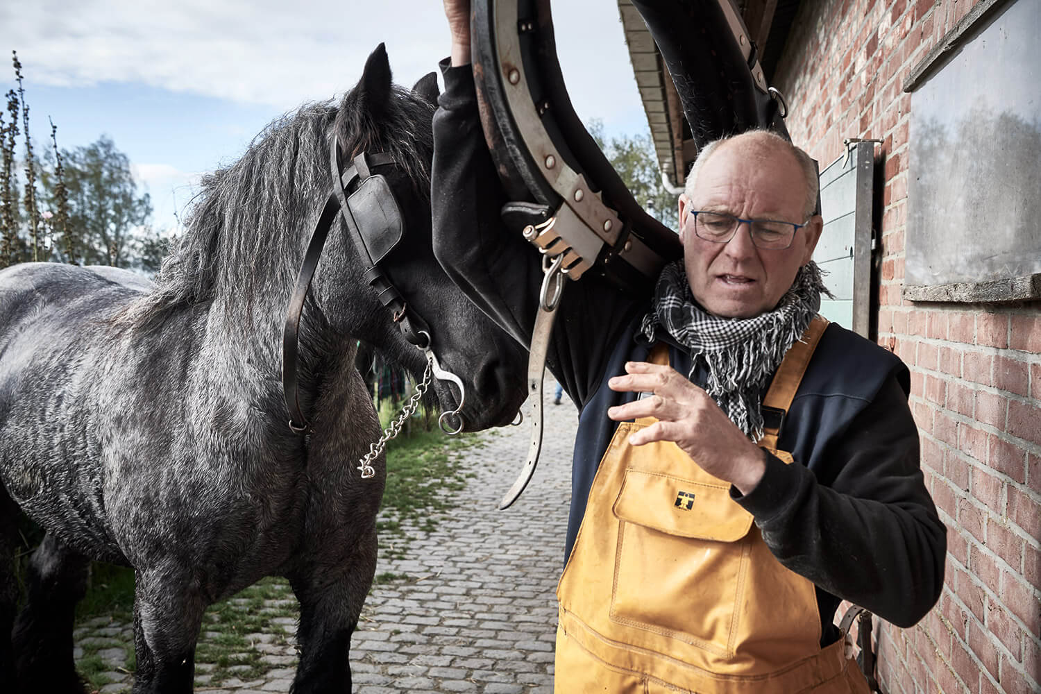 45-Paardenvissers-Stefaan-Hancke-0603-Kristina-Steiner