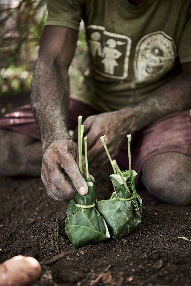 46-Megapode-Egg-Hunters-Chris-0120-Kristina-Steiner
